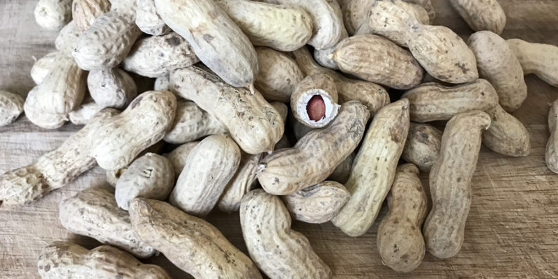 Арахис: польза, возможный вред и противопоказания