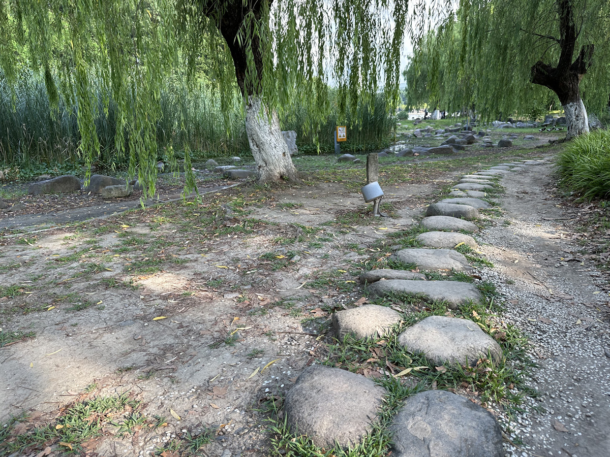 Century Park в Шанхае