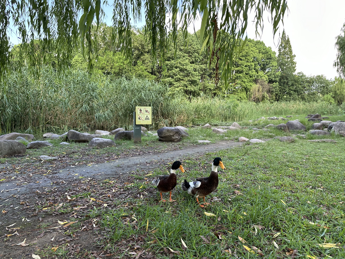 Century Park в Шанхае