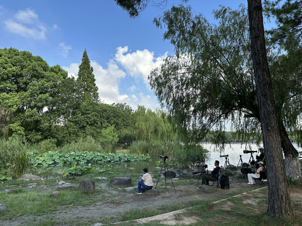 Century Park в Шанхае