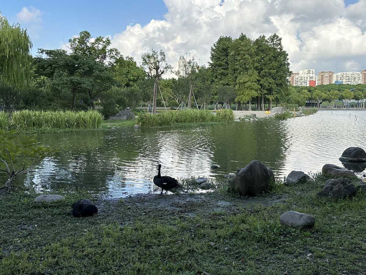 Century Park в Шанхае