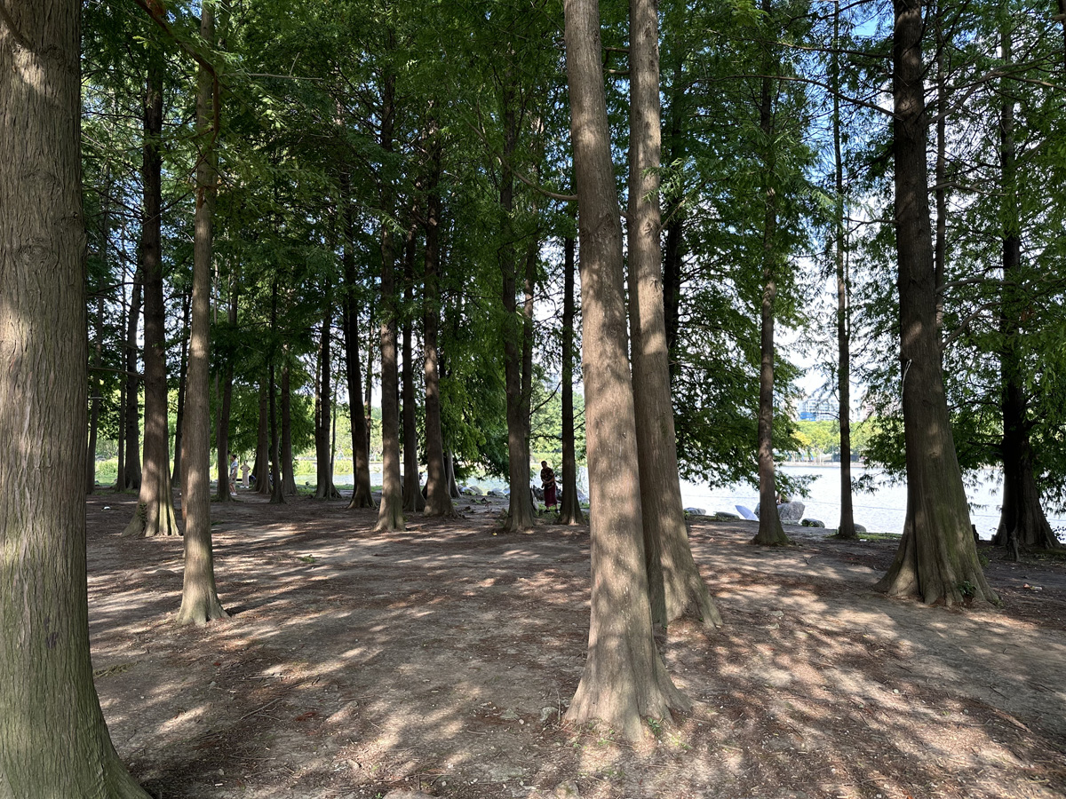 Century Park в Шанхае