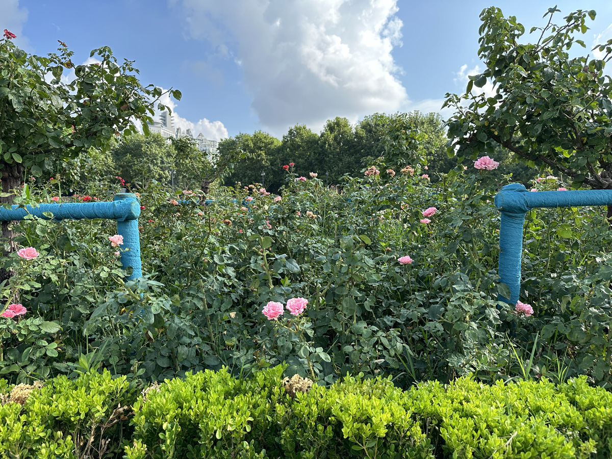 Century Park в Шанхае