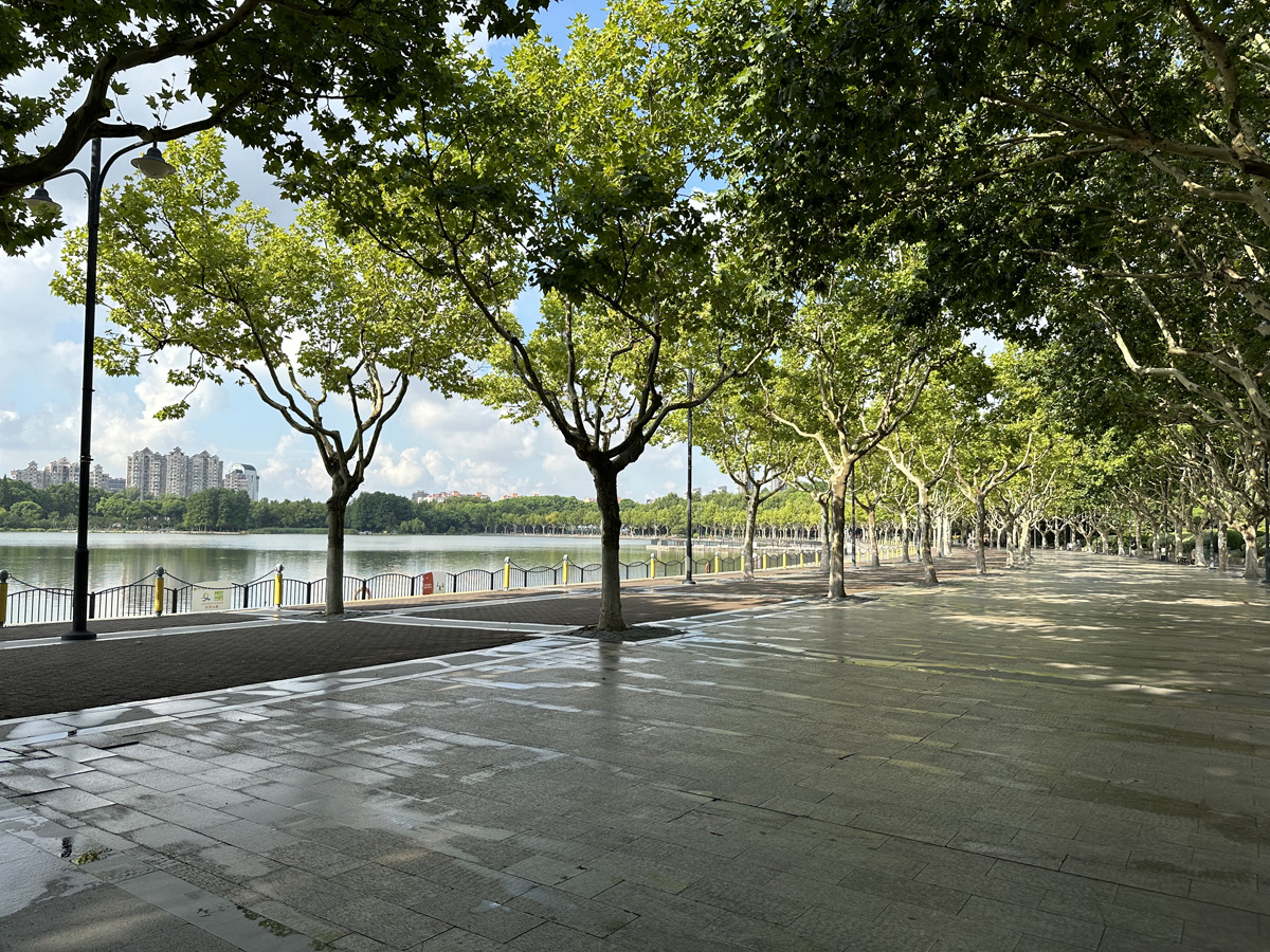 Century Park в Шанхае