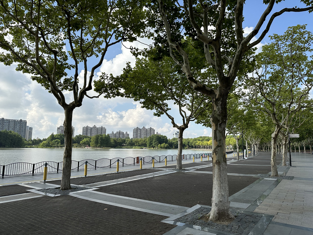 Century Park в Шанхае