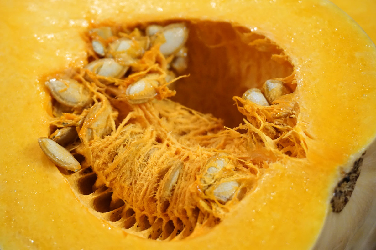 Чем полезна тыква?