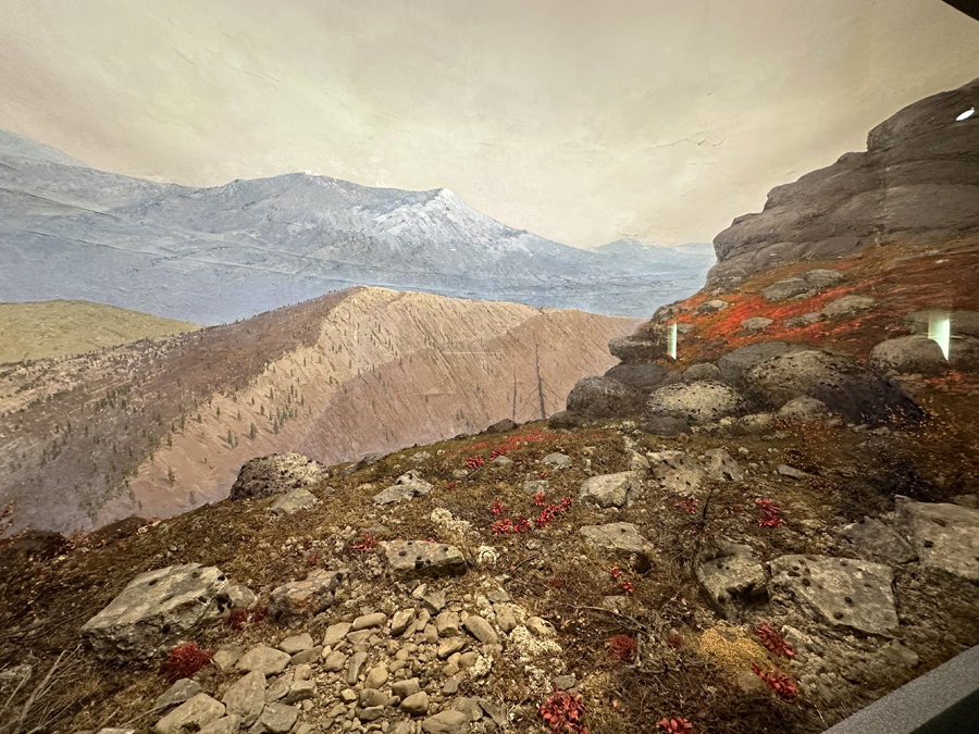 Денежкин камень. Государственный природный заповедник