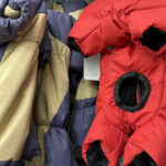 Нужна ли собаке зимняя одежда?