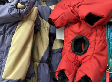 Нужна ли собаке зимняя одежда?