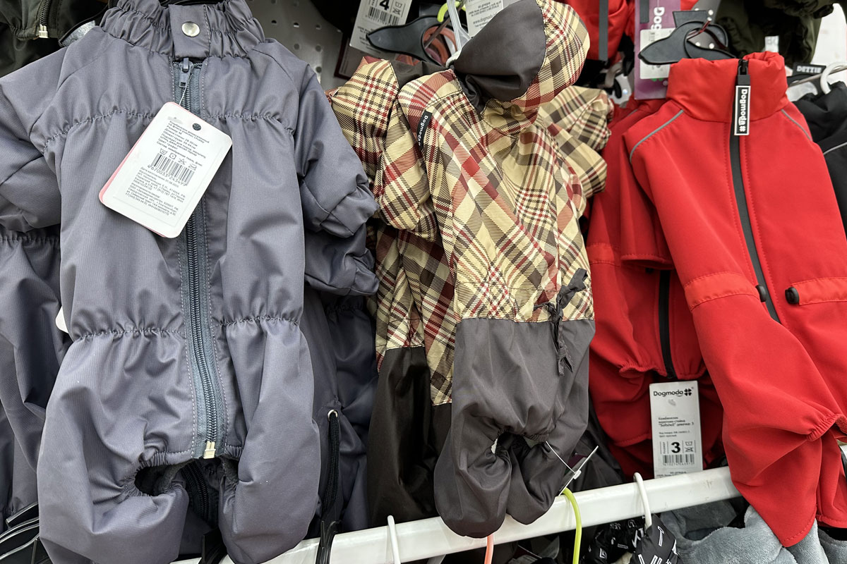 Модели с капюшонами