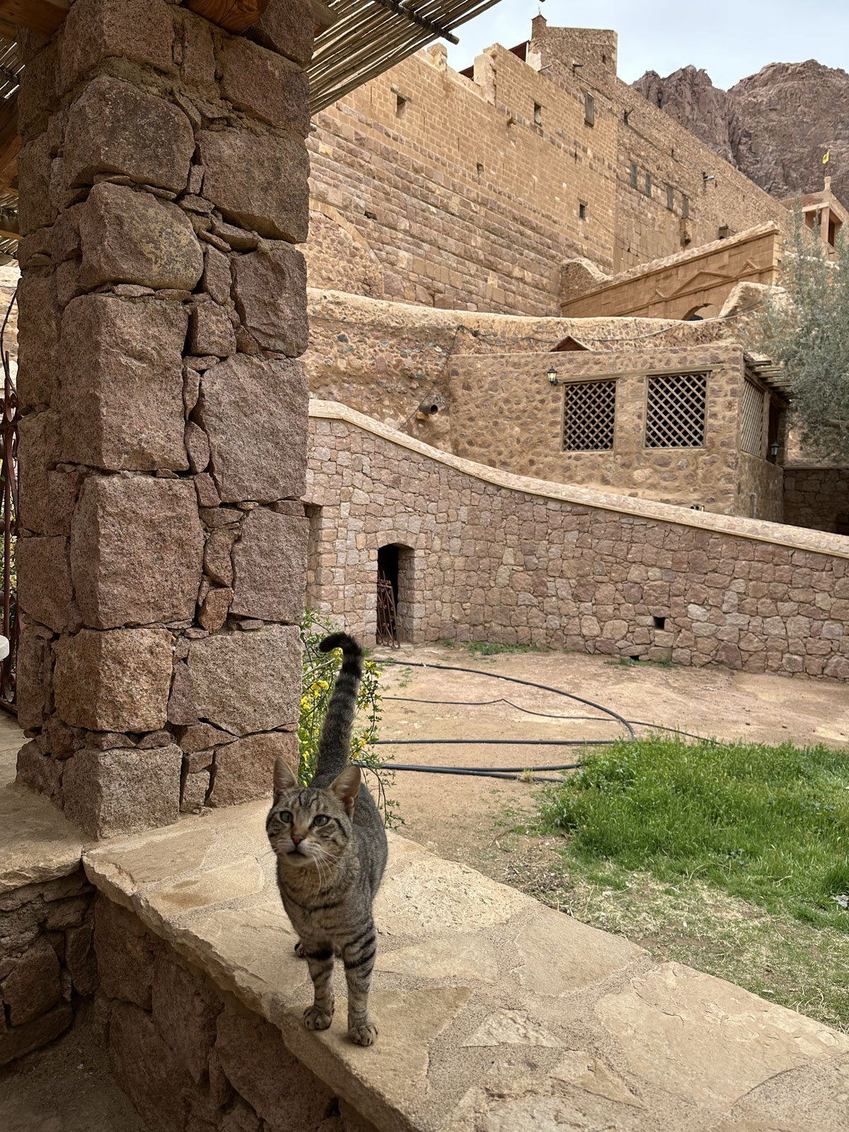 Монастырь Святой Екатерины на горе Синай