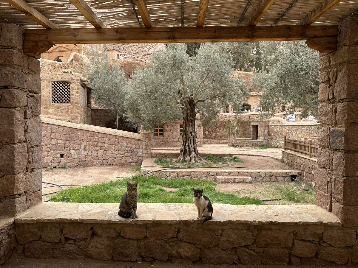 Монастырь Святой Екатерины на горе Синай