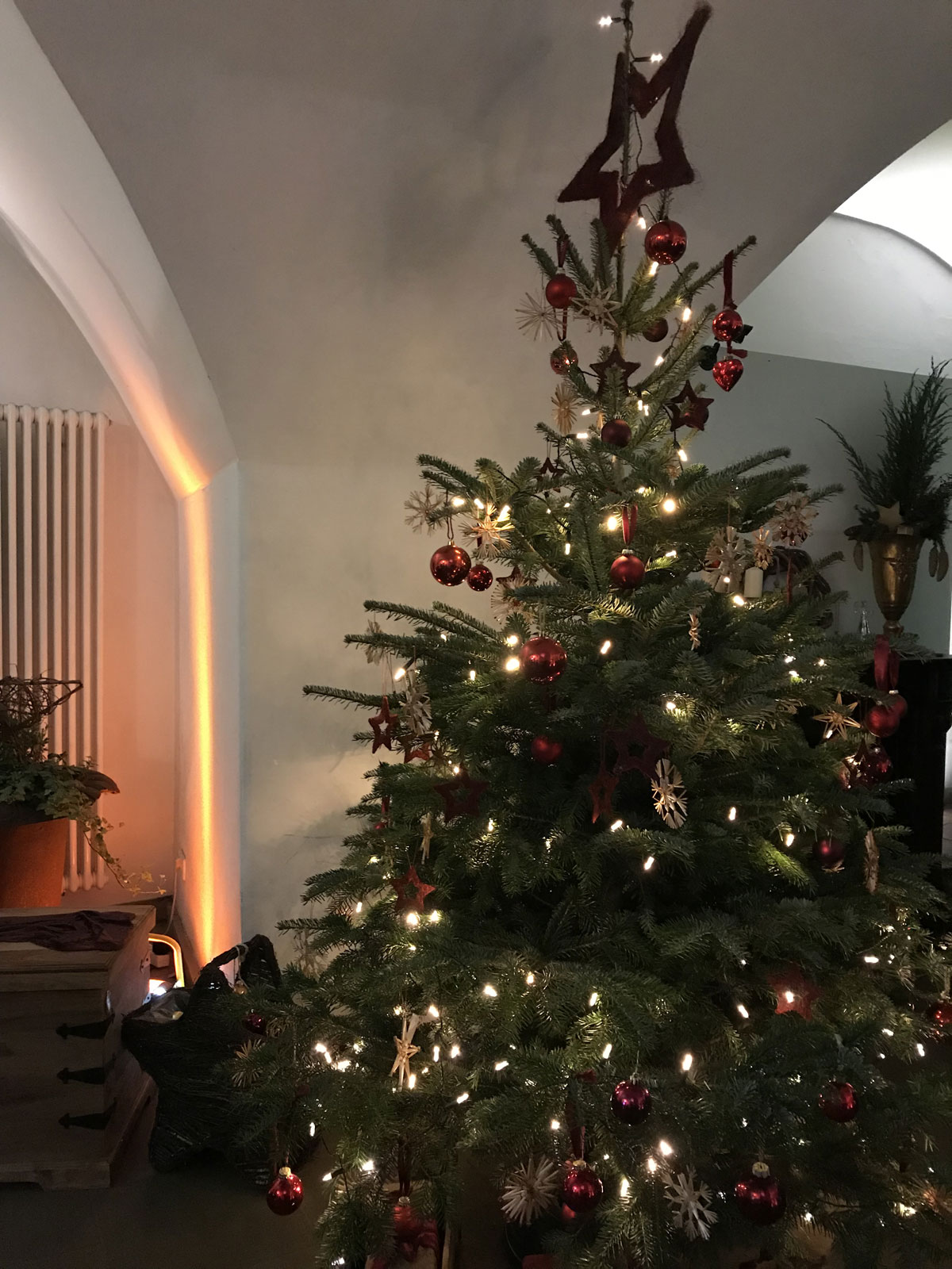 Рождественская елка