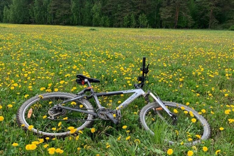 Езда на велосипеде: польза и возможный вред для здоровья