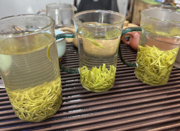 Как правильно заваривать зеленый чай