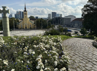 Харьюмяги в Таллине