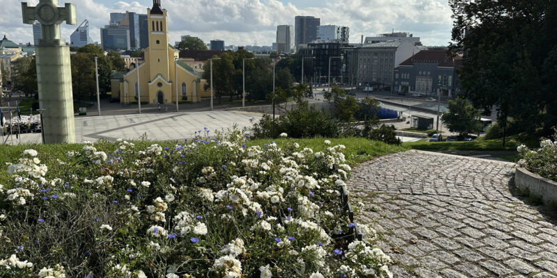 Харьюмяги в Таллине