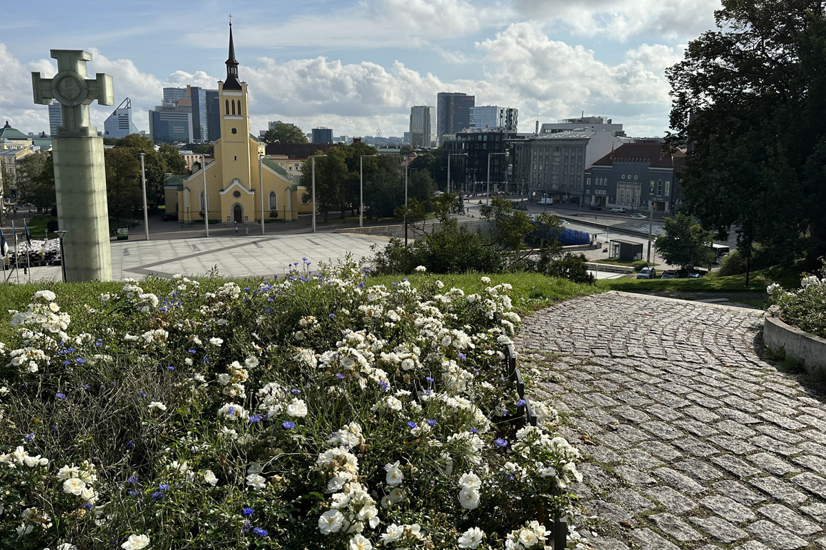 Харьюмяги в Таллине