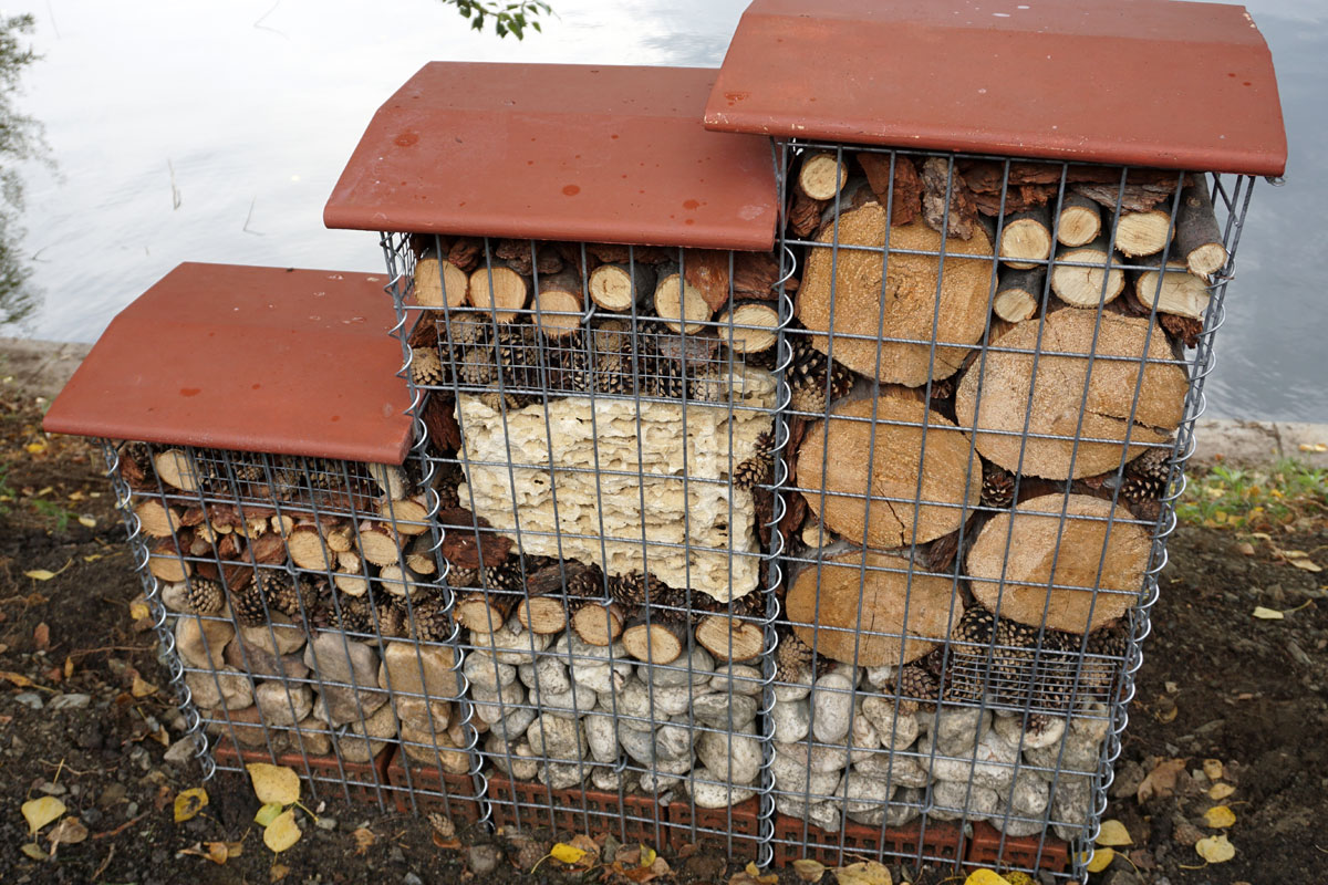 Размещение отеля для насекомых