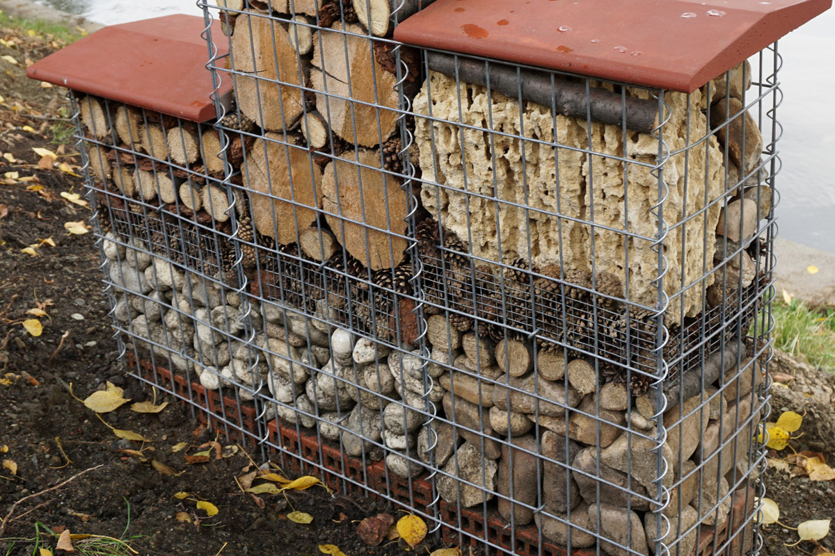 Размещение отеля для насекомых