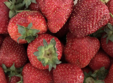 Как правильно хранить клубнику