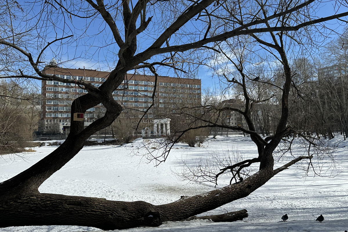 Харитоновский сад в Екатеринбурге