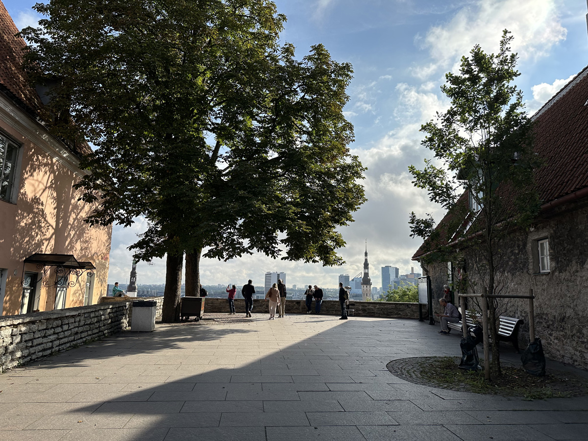 Смотровая площадка Кохтуотса (эст. Kohtuotsa vaateplats) в Таллине