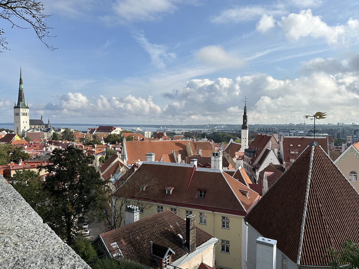 Смотровая площадка Кохтуотса (эст. Kohtuotsa vaateplats) в Таллине