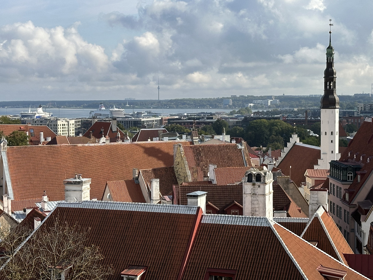 Смотровая площадка Кохтуотса (эст. Kohtuotsa vaateplats) в Таллине