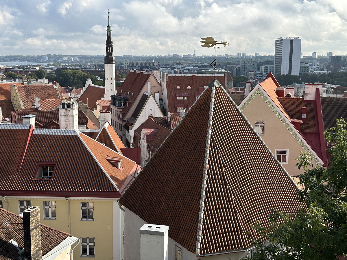 Смотровая площадка Кохтуотса (эст. Kohtuotsa vaateplats) в Таллине