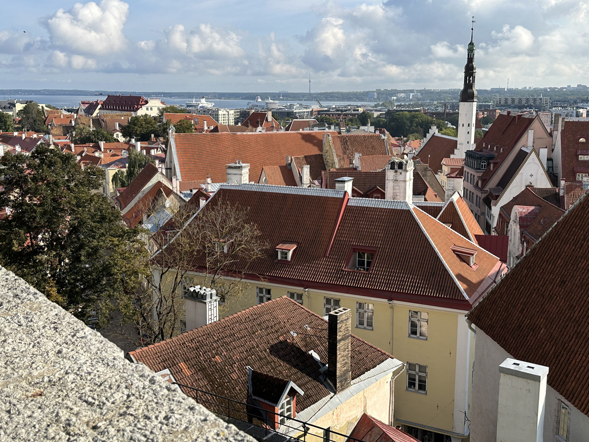 Смотровая площадка Кохтуотса (эст. Kohtuotsa vaateplats) в Таллине