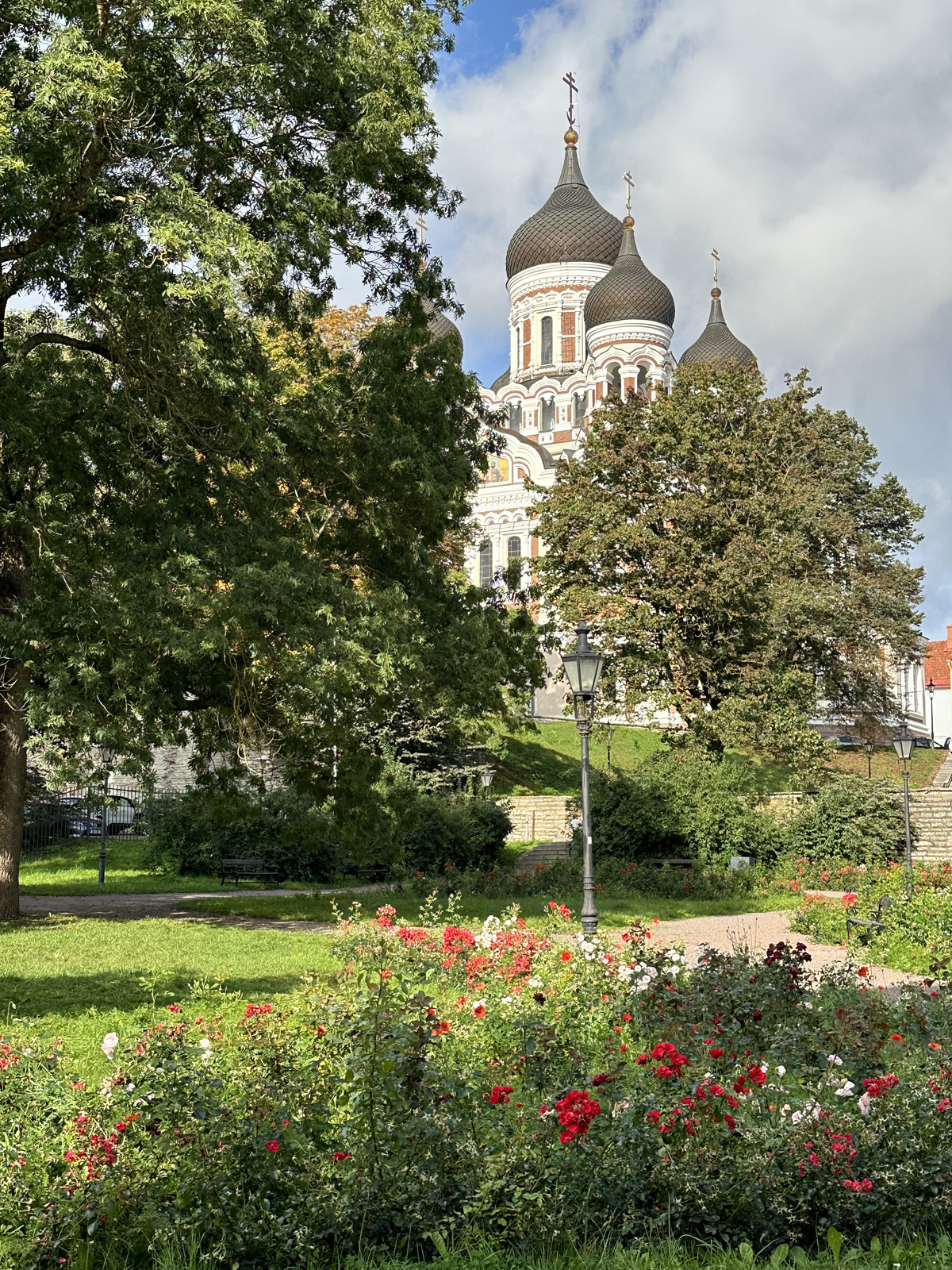 Комендантский сад в Таллине