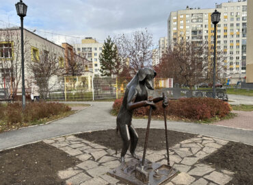 Культурная собака