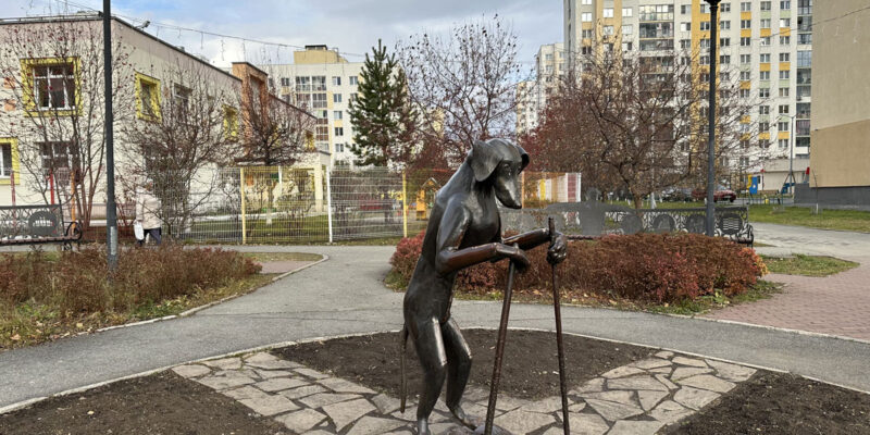 Культурная собака