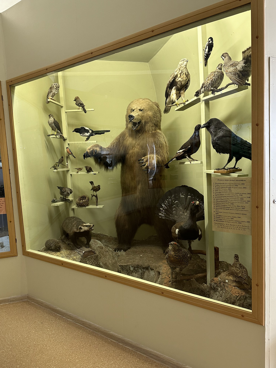 Птицы и звери лесных ландшафтов