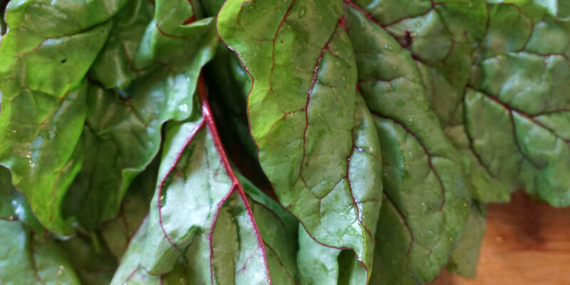 Мангольд (лат. Beta vulgaris subsp. vulgaris)