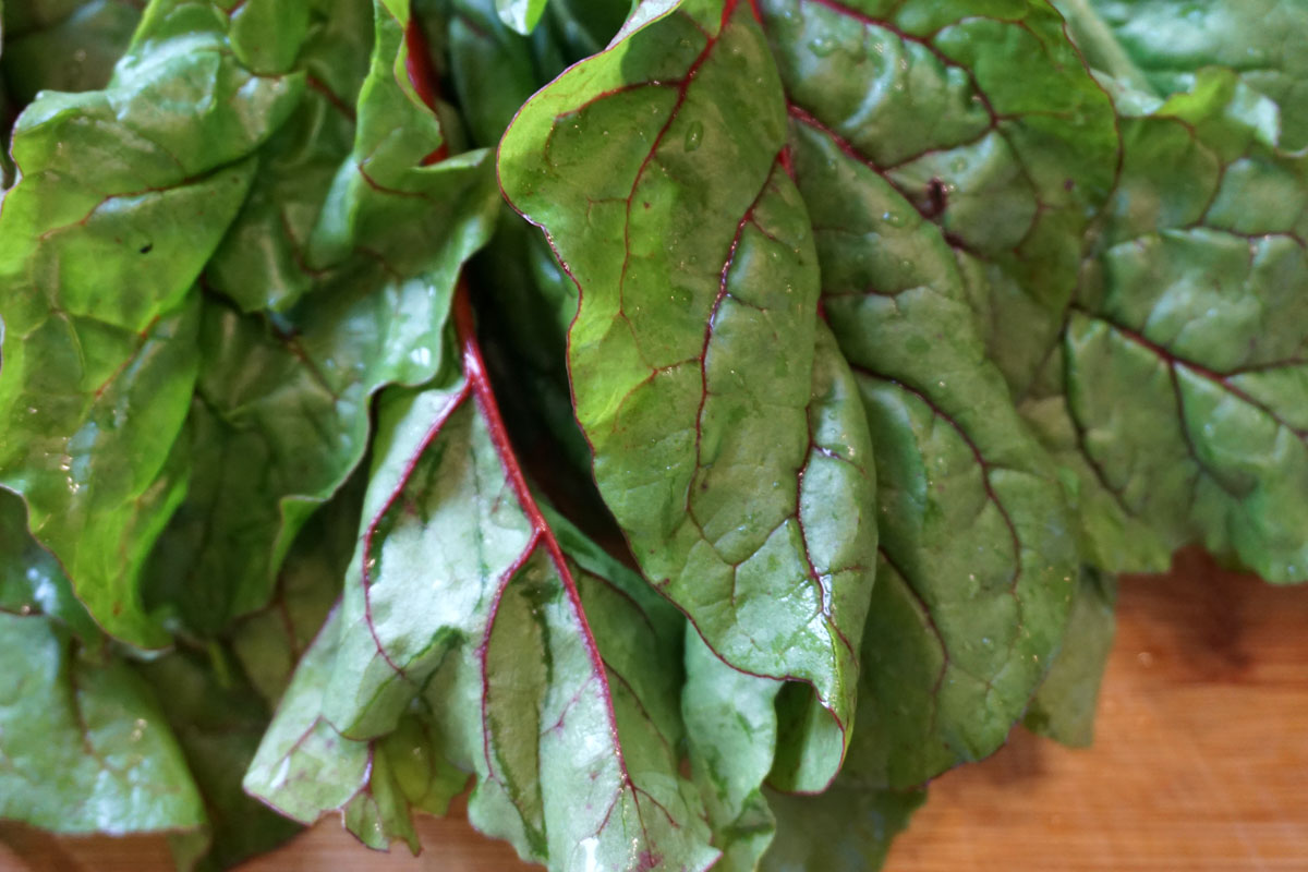 Мангольд (лат. Beta vulgaris subsp. vulgaris)