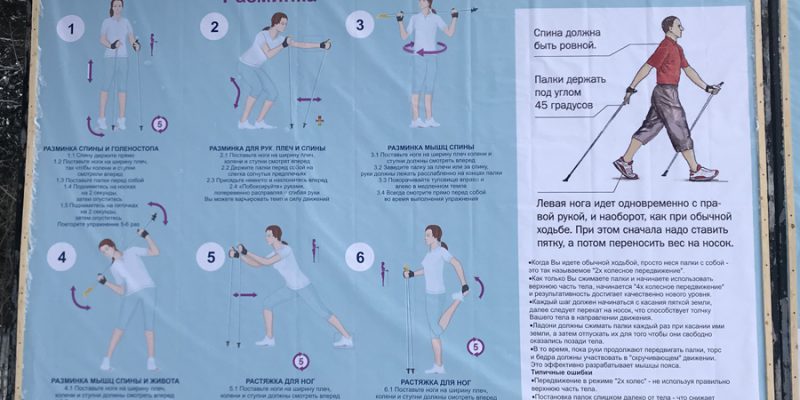 Скандинавская ходьба: польза, техника, снаряжение