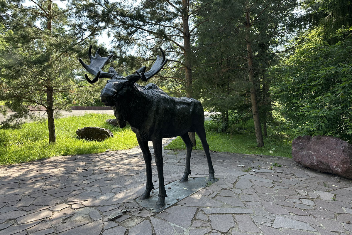Санаторий «Юбилейный» летом