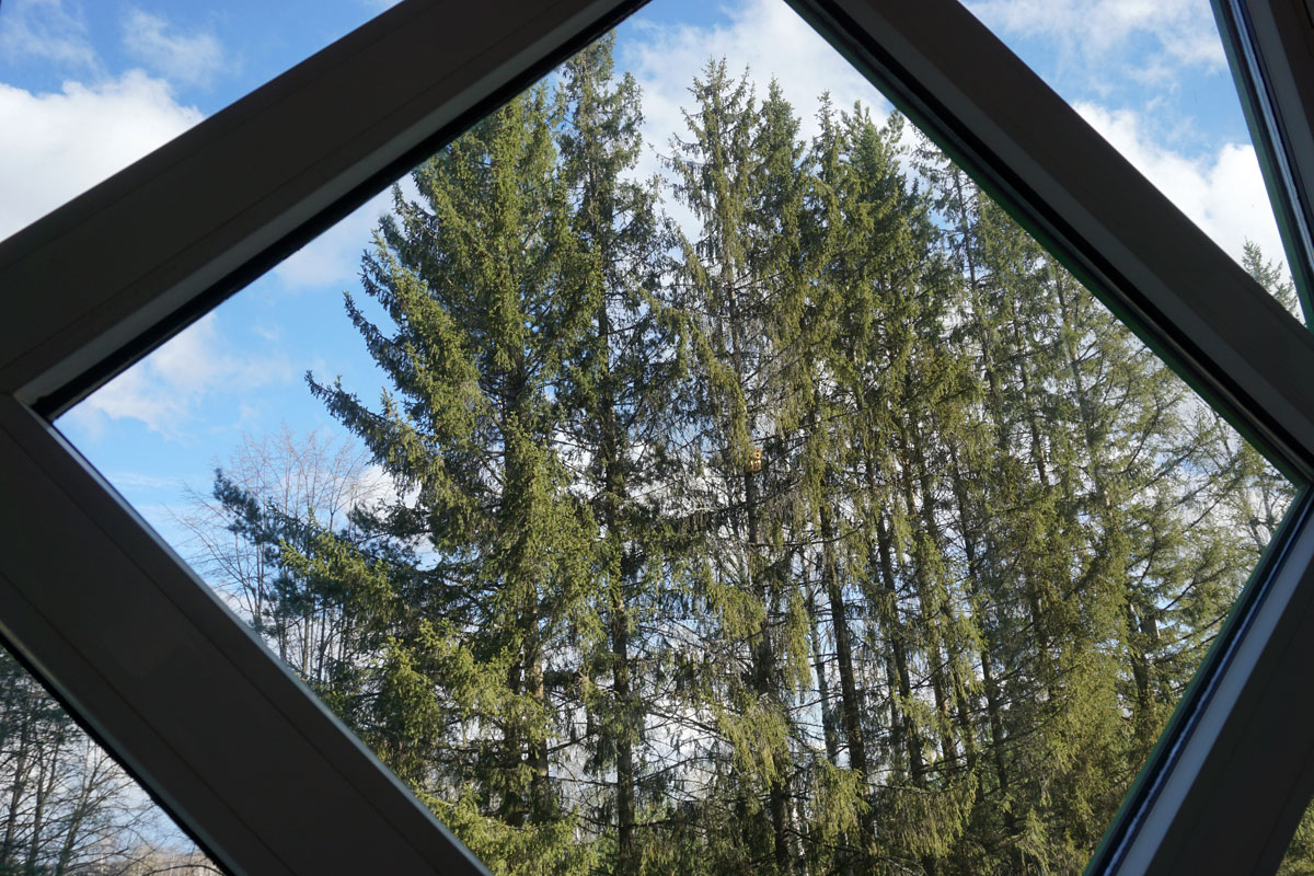 Как помыть окна без разводов