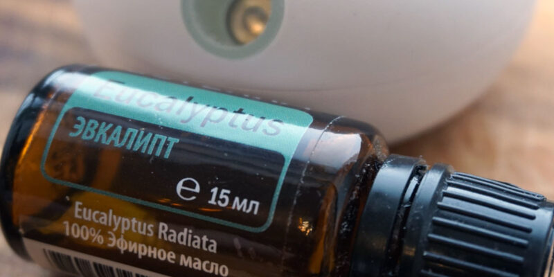 Эфирное масло эвкалипта