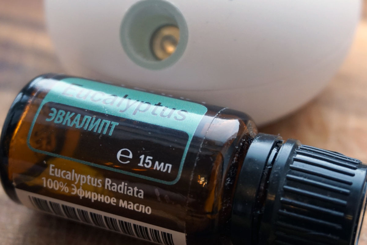 Эфирное масло эвкалипта