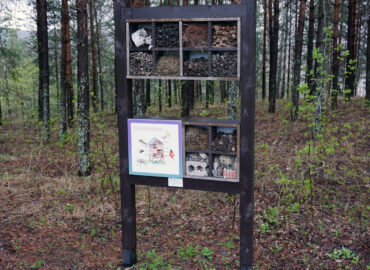 Отель для насекомых