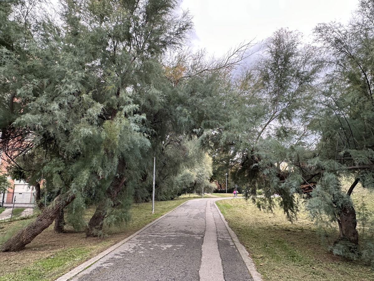 Парк Ренци и Каллас