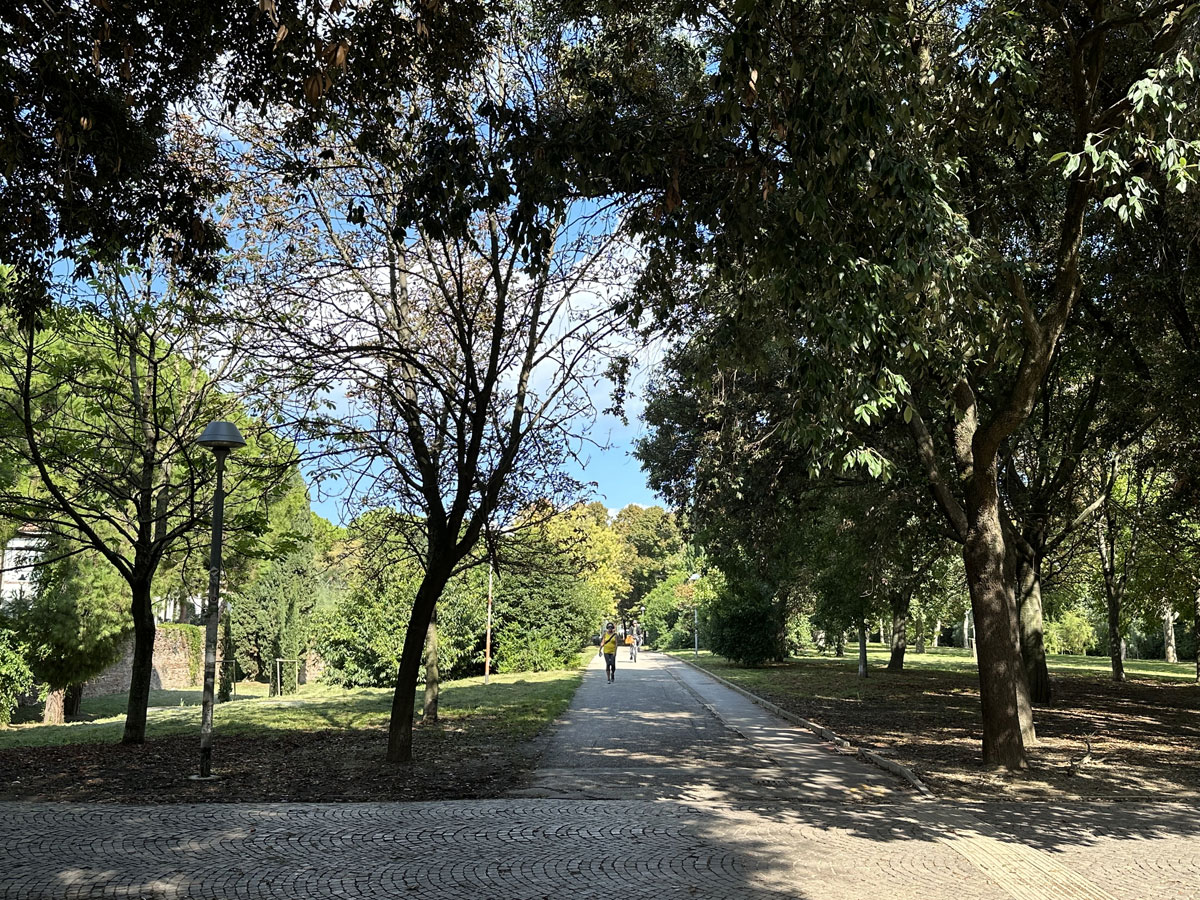 Парк Ренци и Каллас