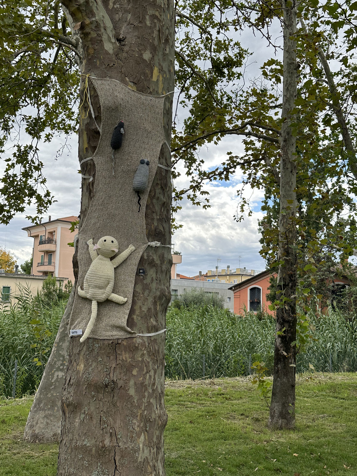 Парк Ренци и Каллас