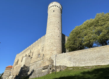 Башня Длинный Герман в Таллине