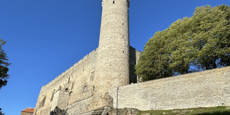 Башня Длинный Герман в Таллине