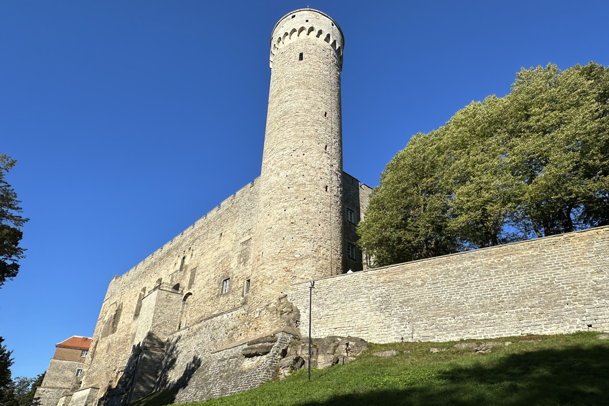 Башня Длинный Герман в Таллине