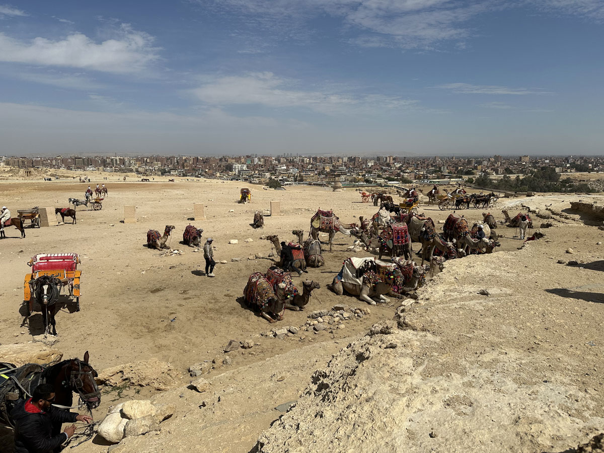 Пирамиды Гизы в Египте